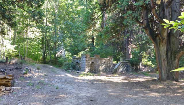 The clearing seen from the old driveway, 2015.