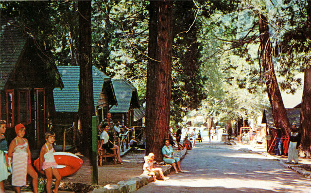 A souvenir postcard showing the Pine View Lodge among the pines.